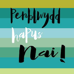 Penblwydd Hapus Nai