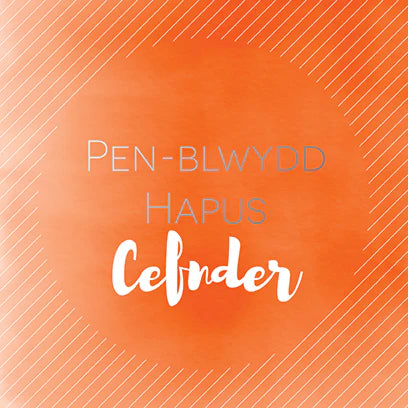 Pen-blwydd Hapus Cefnder