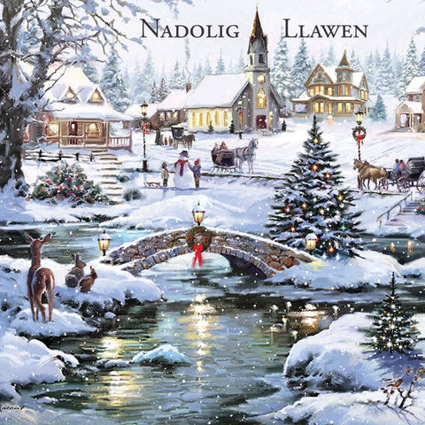 Nadolig Llawen (pack) |Nadolig Llawen (pecyn)