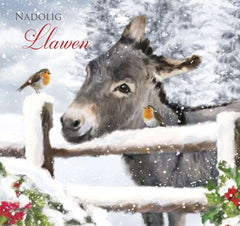 Nadolig Llawen (pack) |Nadolig Llawen (pecyn)