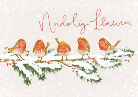 Nadolig Llawen (pack) |Nadolig Llawen (pecyn)