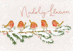 Nadolig Llawen (pack) |Nadolig Llawen (pecyn)