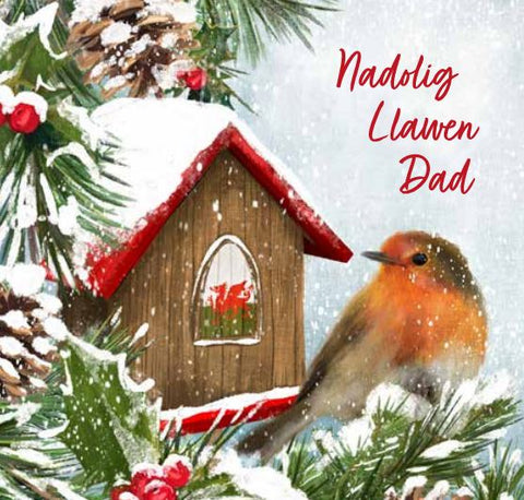 Nadolig  Llawen Dad