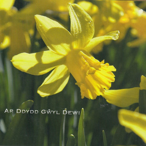 Ar Ddydd Gŵyl Dewi