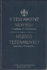 Y Testament Newydd