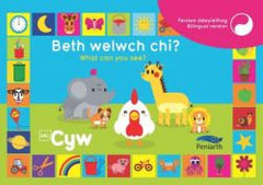 Beth Welwch Chi? What Can You See? Cyw
