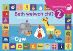 What Can You See/Beth Welwch Chi? 2 | Beth Welwch Chi? 2