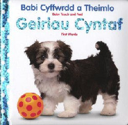 Geiriau Cyntaf/First Words | Geiriau Cyntaf