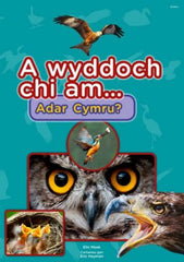 A Wyddoch Chi am Adar Cymru?