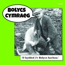 Bolycs Cymraeg