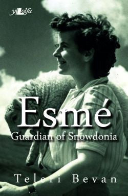 Esmé - Guardian of Snowdonia
