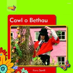 Cawl o Bethau