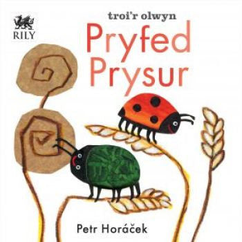 Pryfed Prysur