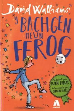 Y Bachgen Mewn Ffrog