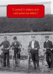 Y cyntaf i'r dafarn sy'n cael peint am ddim!