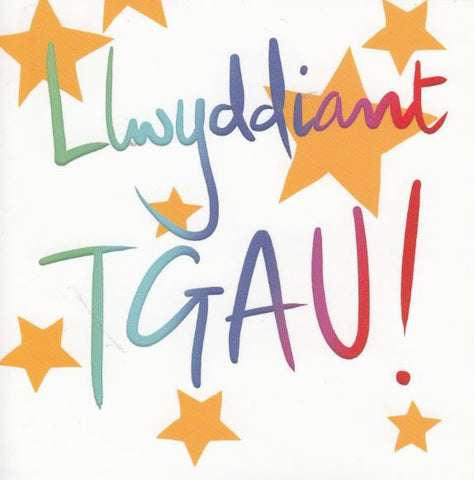 Llwyddiant TGAU!
