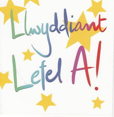Llwyddiant Lefel A!