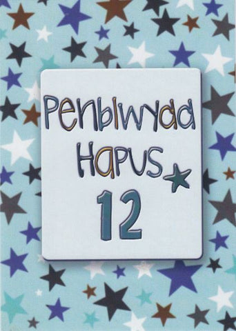 Penblwydd Hapus - 12