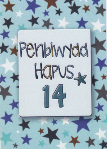Penblwydd Hapus - 14