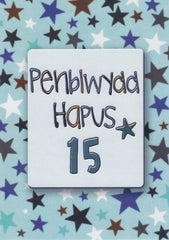 Penblwydd Hapus - 15