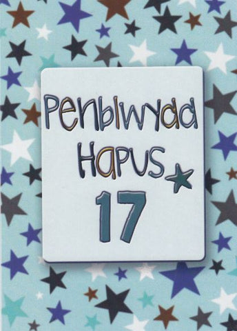 Penblwydd Hapus - 17