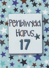 Penblwydd Hapus - 17