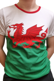 Girls Welsh Flag Skinni Fit T-Shirt|Crys Fflag Cymru Plant