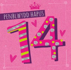 Penblwydd Hapus - 14 oed