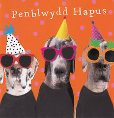 Penblwydd Hapus