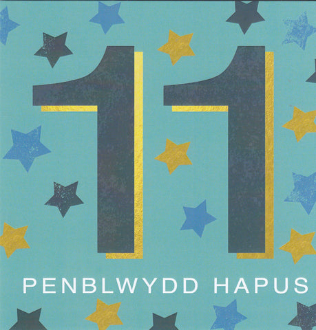 Penblwydd Hapus - 11