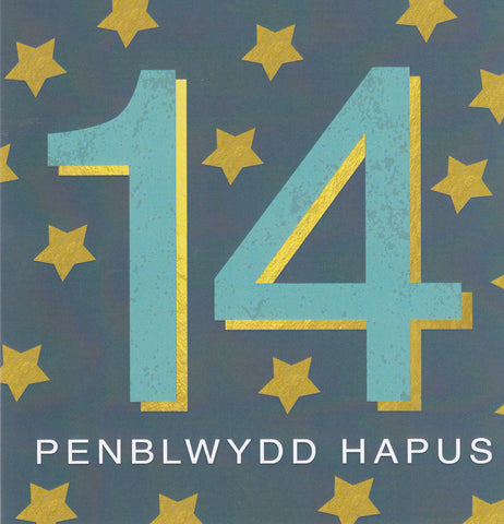 Penblwydd Hapus - 14