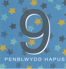 Penblwydd Hapus - 9