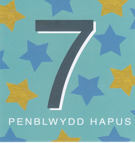 Penblwydd Hapus - 7