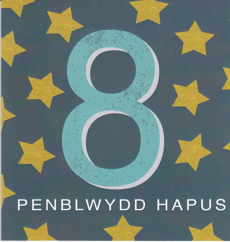 Penblwydd Hapus - 8