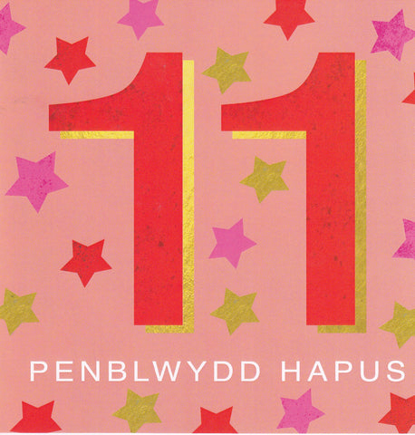 Penblwydd Hapus - 11