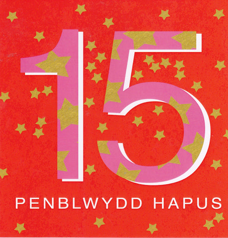 Penblwydd Hapus - 15