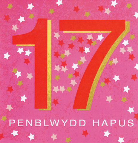 Penblwydd Hapus - 17