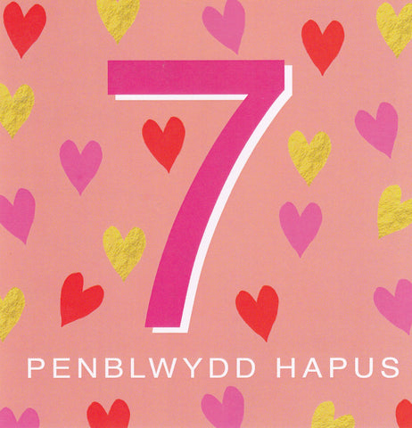 Penblwydd Hapus - 7