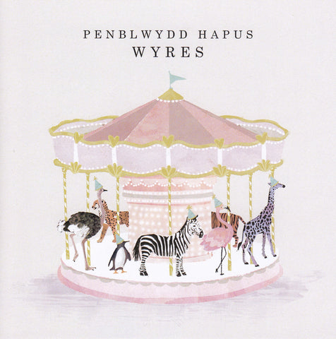 Penblwydd Hapus Wyres