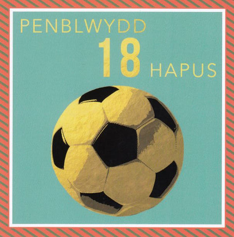 Penblwydd Hapus - 18