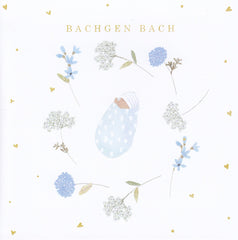 Bachgen Bach