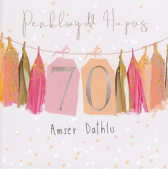 Penblwydd Hapus 70, Amser Dathlu