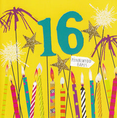 Penblwydd Hapus 16