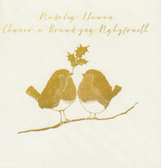 Nadolig Llawen Chwaer a Brawd-yng-Nghyfraith