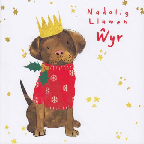 Nadolig Llawen Wyr