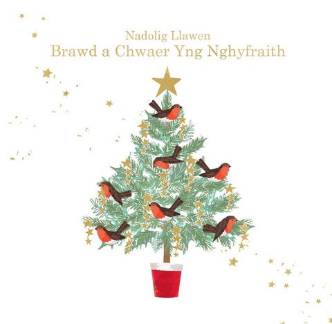 Nadolig Llawen Brawd a Chwaer Yng Nghyfraith