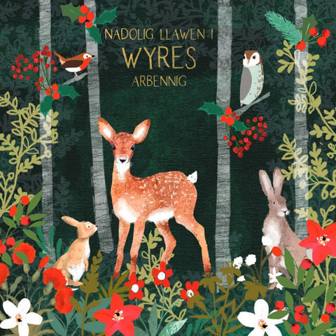 Nadolig Llawen i Wyres Arbennig