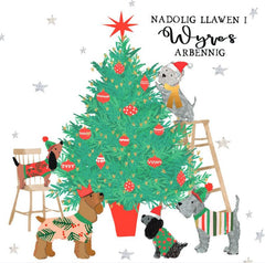 Nadolig Llawen i Wyres Arbennig