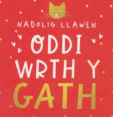Nadolig Llawen oddi wrth y gath