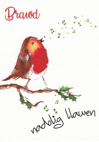 Nadolig Llawen Brawd